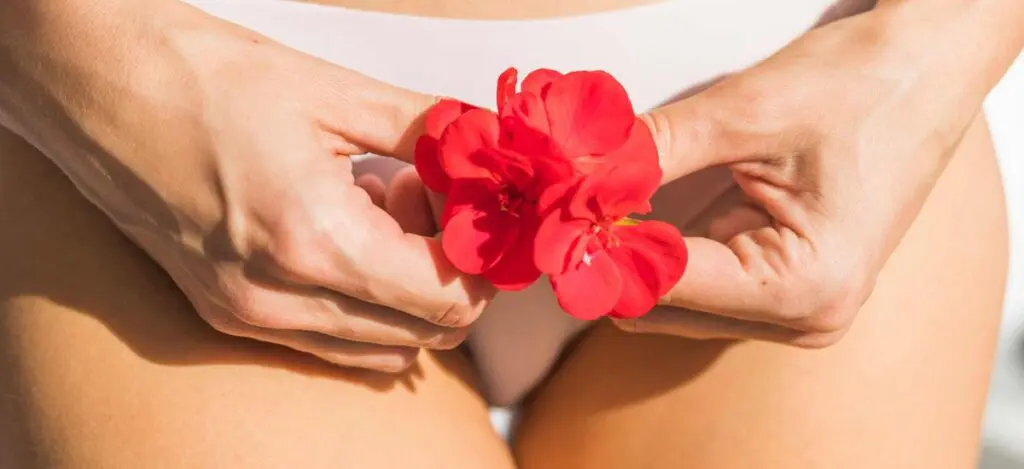 Entenda o que é ninfoplastia, como é realizada a cirurgia e o que esperar depois desse procedimento. Leia esse post blog e descubra todos os detalhes!