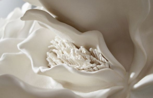 Beneficios da Ninfoplastia