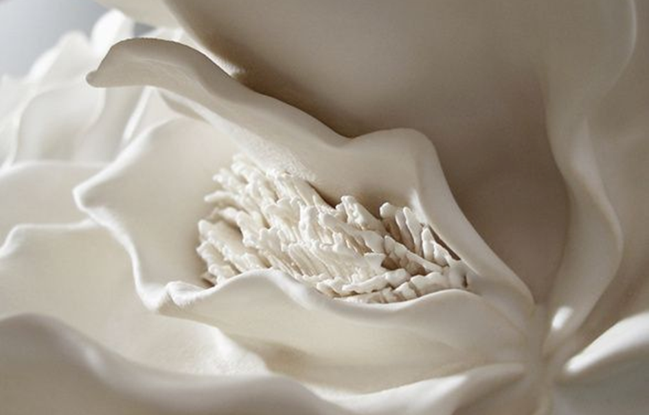 Beneficios da Ninfoplastia